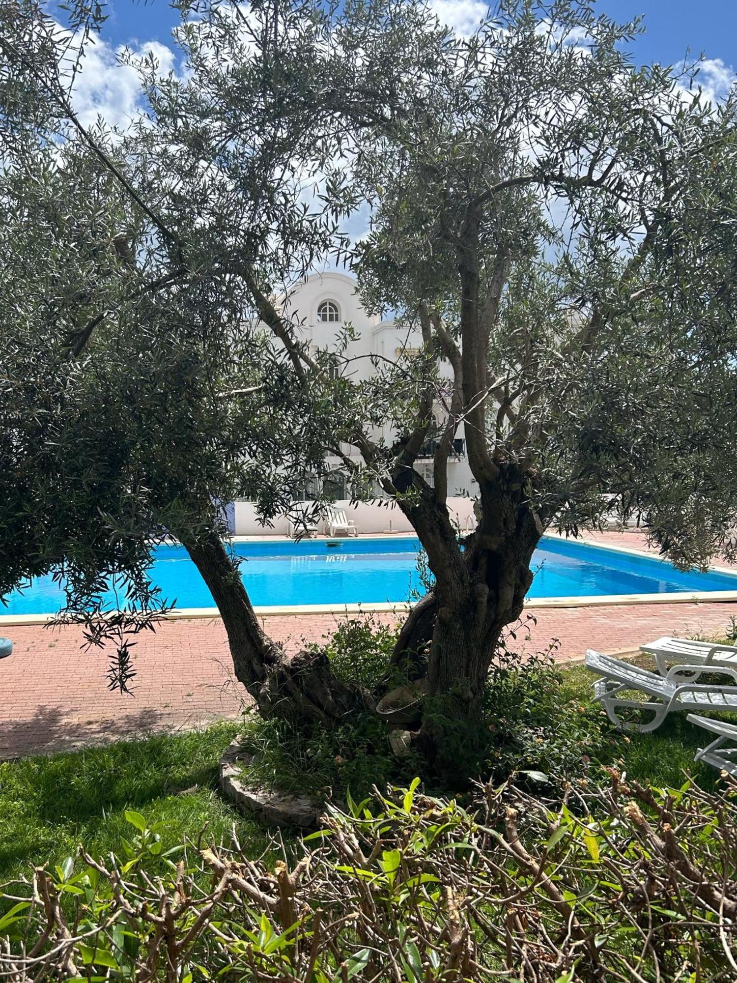 Tavira Garden 16 Apartment Ngoại thất bức ảnh